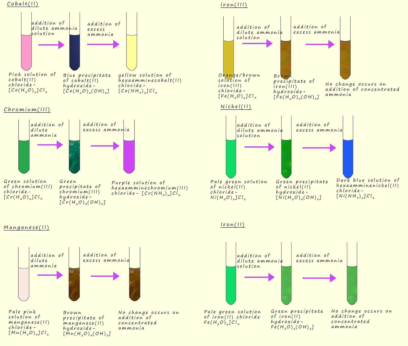  a montage to show the colours of the complexes formed when dilute and then concentrated ammonia solutions are added to solutions of transition metal salts.